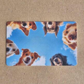 RFID Therapy Dog Card