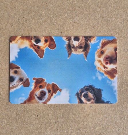 RFID Therapy Dog Card