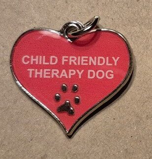 Child Friendly Dog Tags