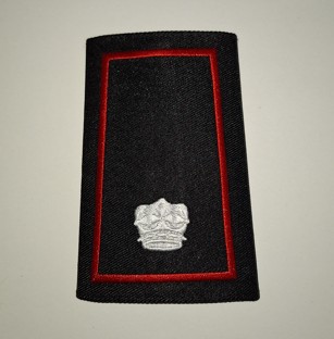 Epaulette Surgeon-4