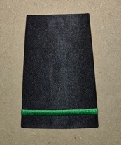 GREEN Practical Nurse