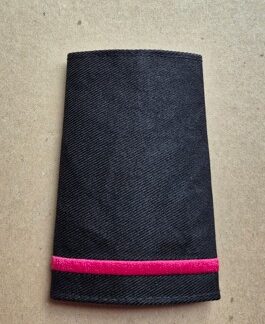 Cancer Awareness Rank Slide